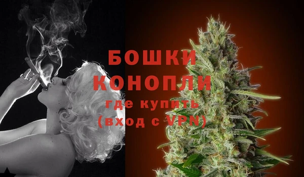 сатива Осинники
