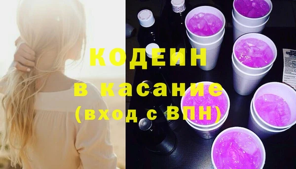 сатива Осинники