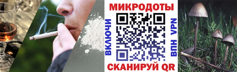 где купить   Темников  Галлюциногенные грибы мицелий 